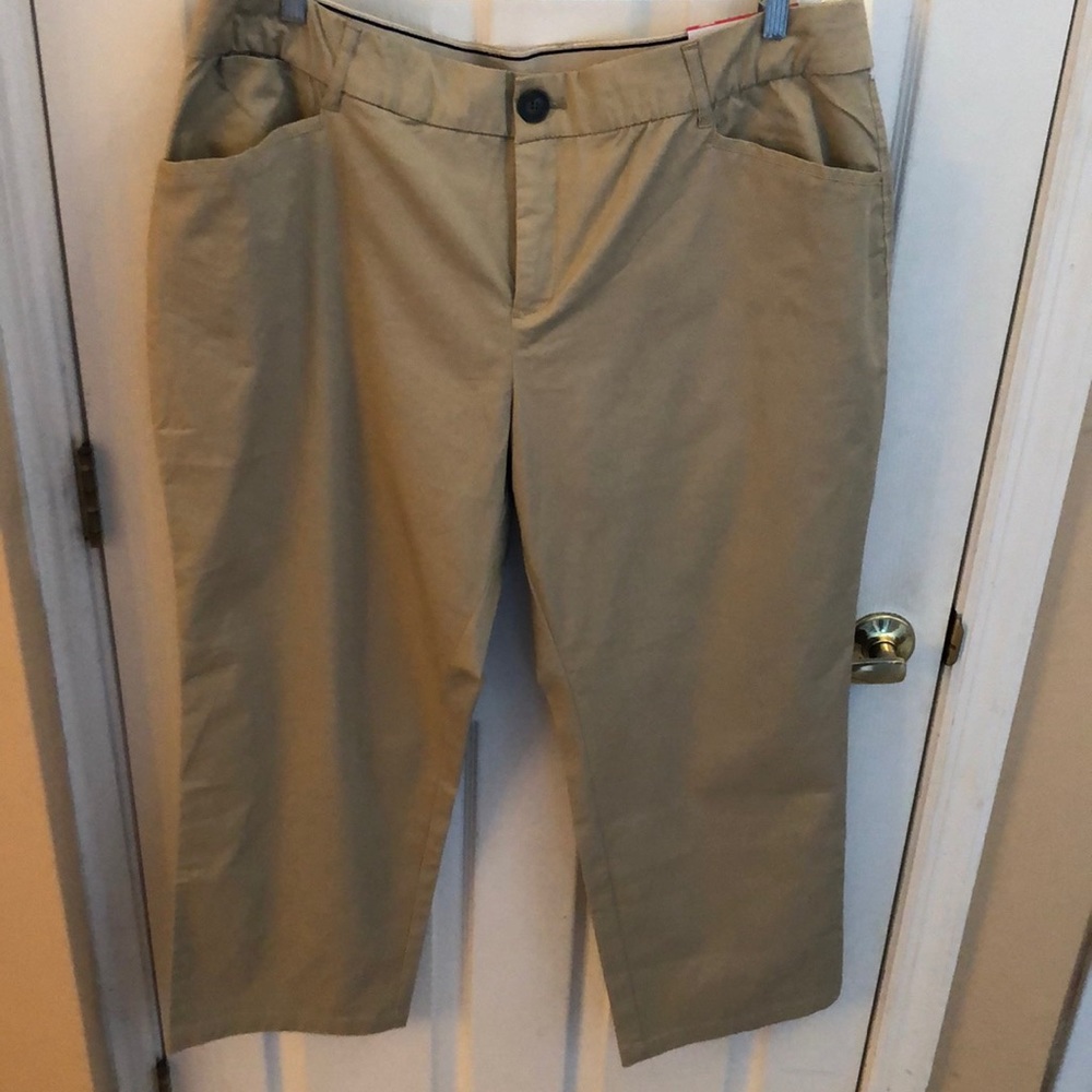 C. J. Banks Signature Comfort Pants Sz 20 WP